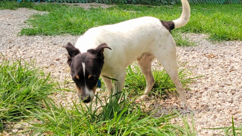 Hairyott Inn - Sullivan, IN