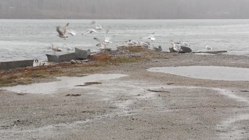 Sumner Memorial Park - Sullivan, ME
