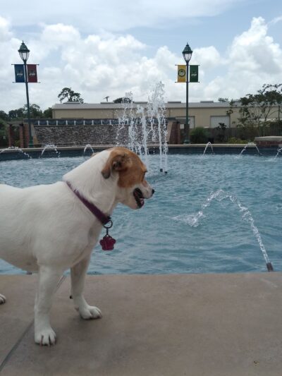 Maplewood park - Sulphur, LA