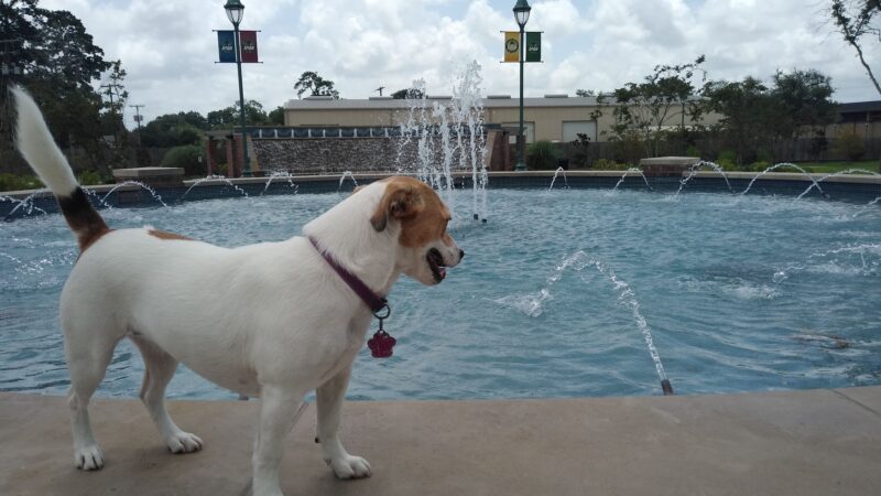 Maplewood park - Sulphur, LA