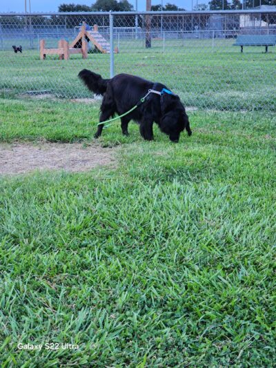 Pattison Complex - Sulphur, LA