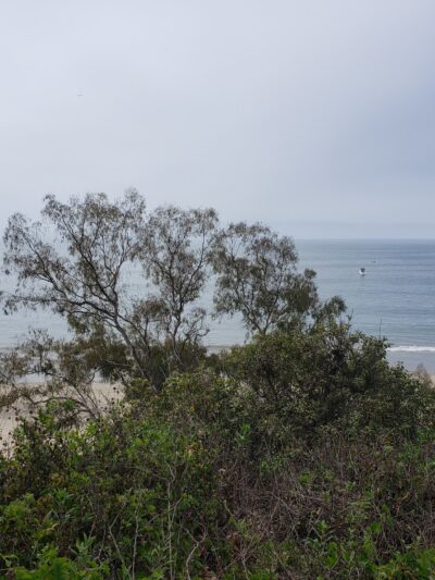 Summerland Beach - Summerland, CA