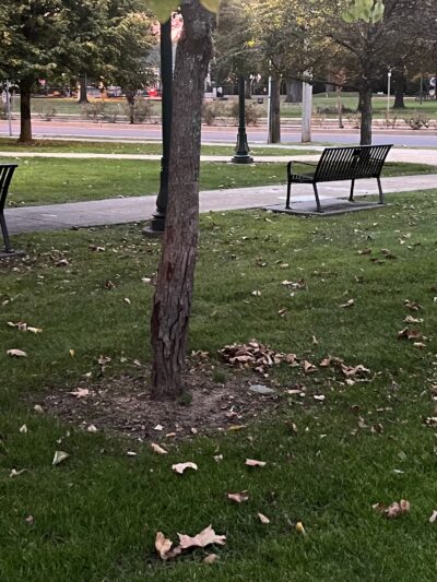 Summit Village Green - Summit, NJ