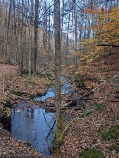 Mt. Toby Parking Area - Sunderland, MA