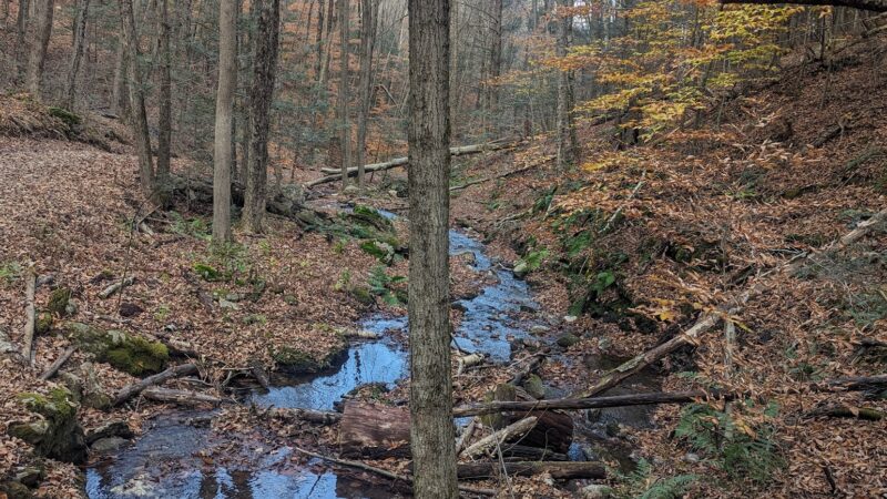 Mt. Toby Parking Area - Sunderland, MA