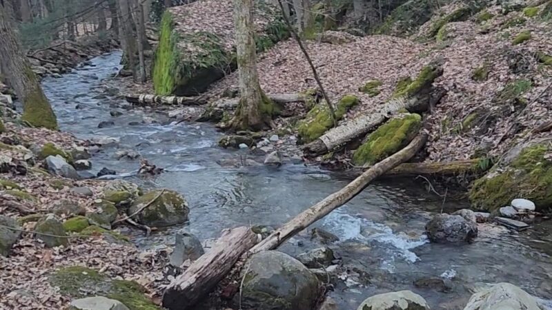 Mt. Toby Parking Area - Sunderland, MA