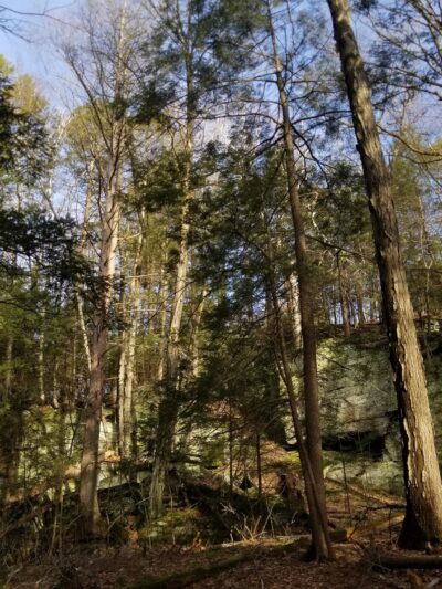 Sunderland Town Park - Sunderland, MA