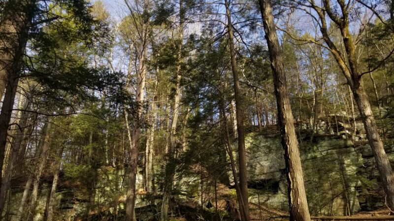 Sunderland Town Park - Sunderland, MA