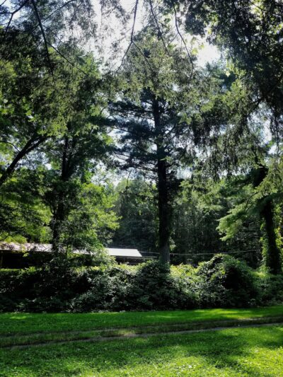 Sunderland Town Park - Sunderland, MA