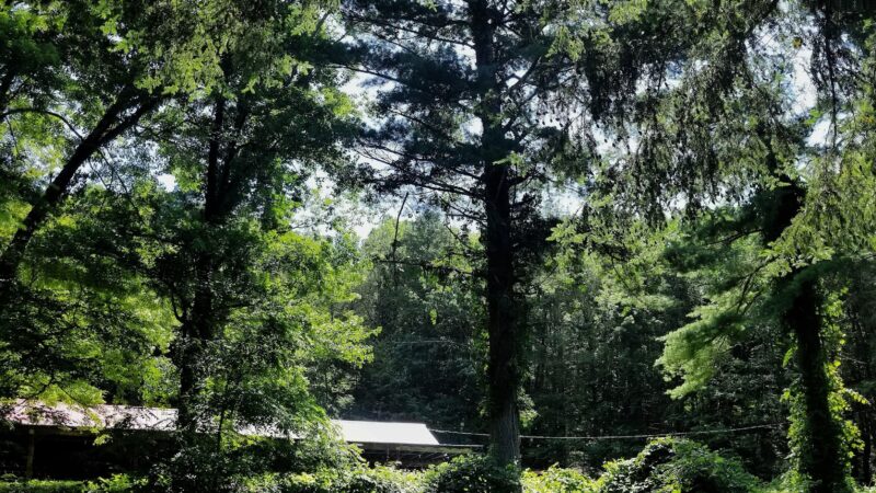 Sunderland Town Park - Sunderland, MA
