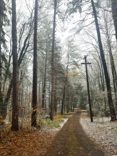 Sunderland Town Park - Sunderland, MA