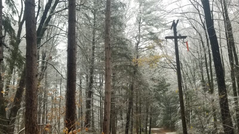 Sunderland Town Park - Sunderland, MA