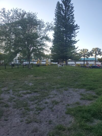 Winston Towers Dog Park - Sunny Isles Beach, FL