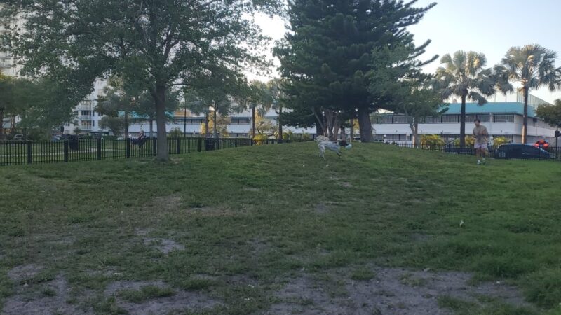 Winston Towers Dog Park - Sunny Isles Beach, FL