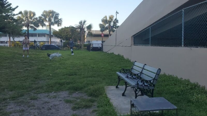 Winston Towers Dog Park - Sunny Isles Beach, FL
