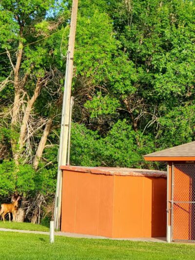 Sunnyside Park Playground and Pavilion - Sunnyside, UT