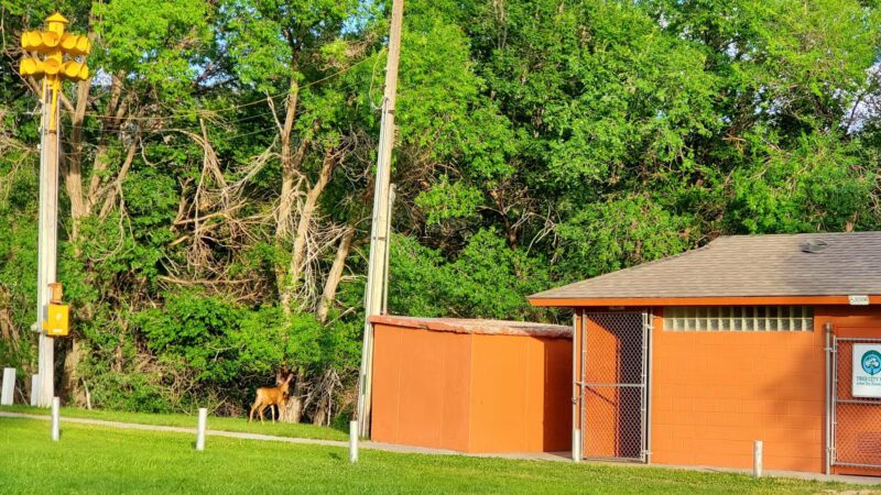 Sunnyside Park Playground and Pavilion - Sunnyside, UT