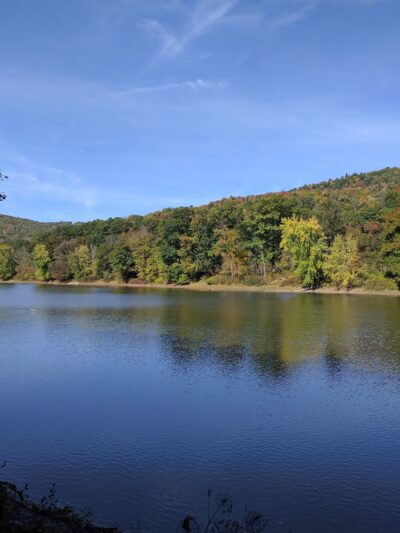 State Game Lands Number 35 - Susquehanna, PA