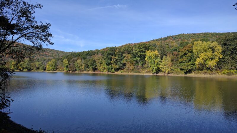 State Game Lands Number 35 - Susquehanna, PA
