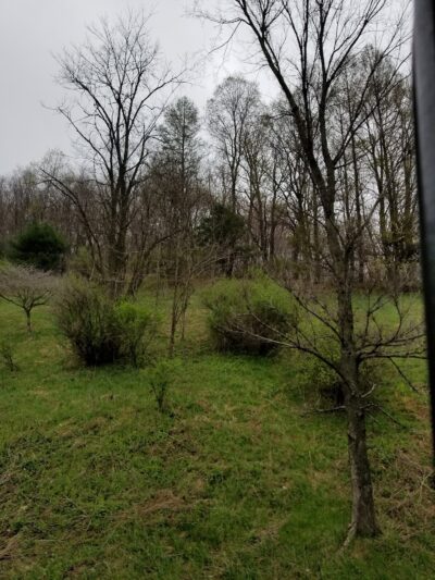 State Game Lands Number 35 - Susquehanna, PA