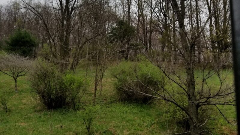 State Game Lands Number 35 - Susquehanna, PA