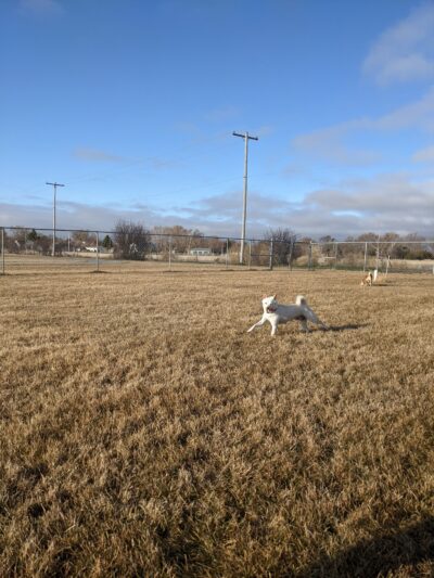 Anchor Memorial Park and Dog Park - Sutherland, NE