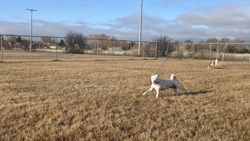 Anchor Memorial Park and Dog Park - Sutherland, NE