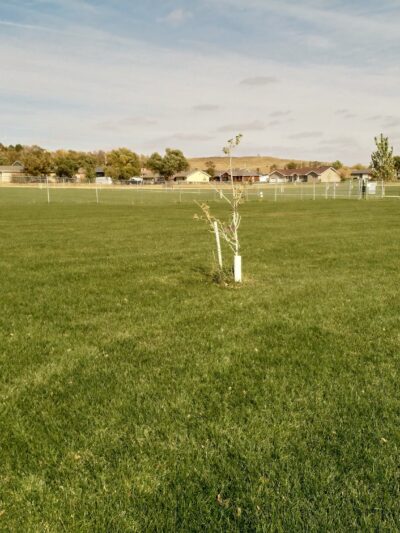Anchor Memorial Park and Dog Park - Sutherland, NE