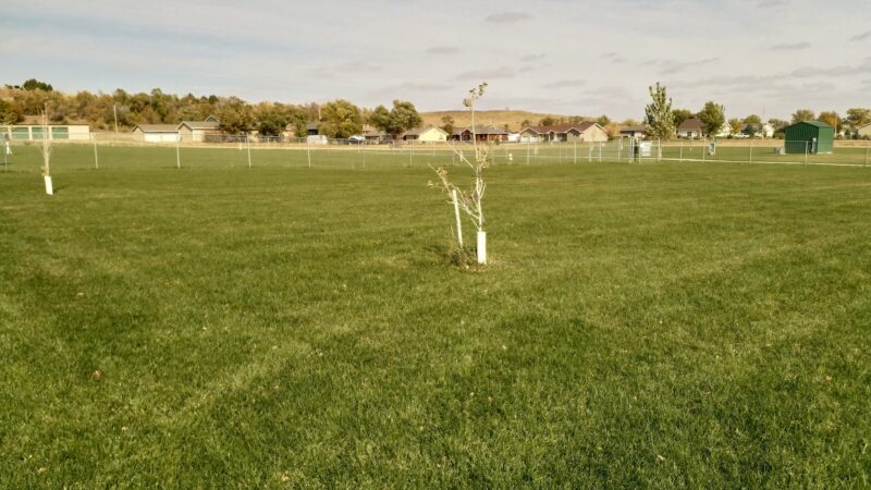 Anchor Memorial Park and Dog Park - Sutherland, NE
