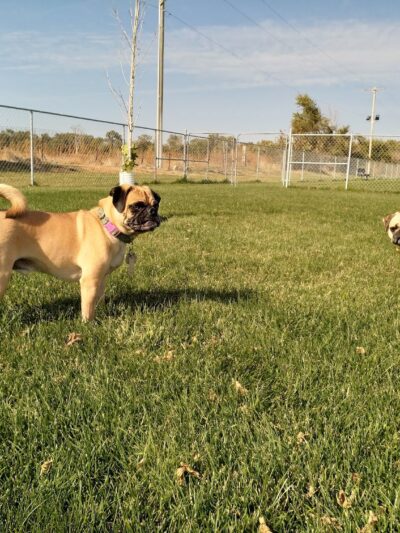 Anchor Memorial Park and Dog Park - Sutherland, NE