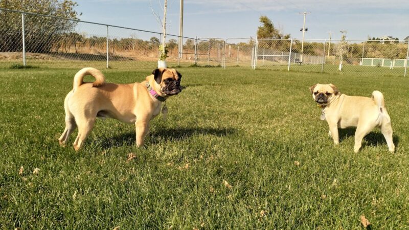 Anchor Memorial Park and Dog Park - Sutherland, NE