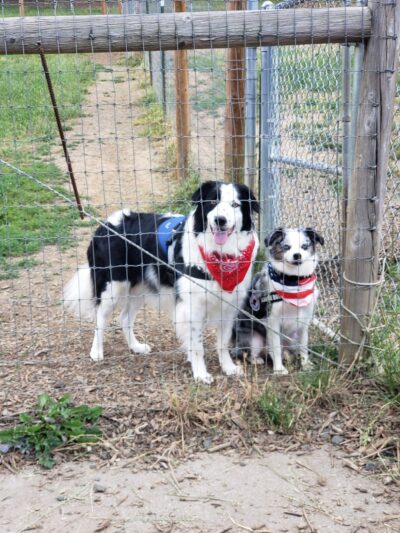 Sutherlin Dog Park - Sutherlin, OR