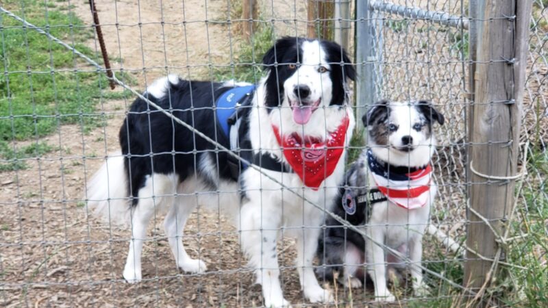Sutherlin Dog Park - Sutherlin, OR