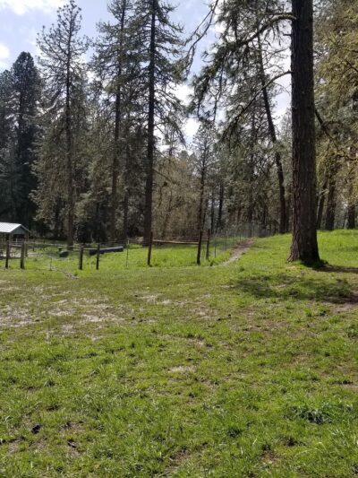 Sutherlin Dog Park - Sutherlin, OR