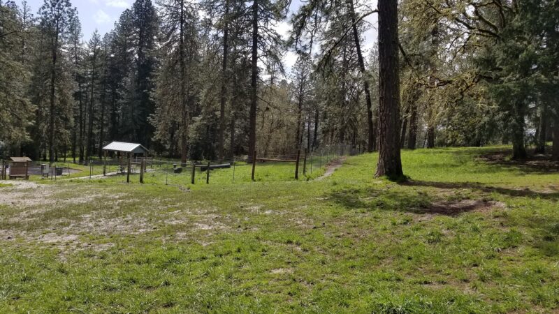 Sutherlin Dog Park - Sutherlin, OR