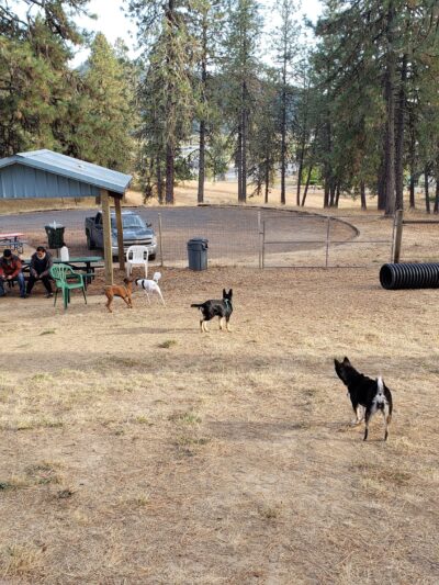 Sutherlin Dog Park - Sutherlin, OR