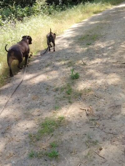 Sutter Creek Lions Park - Sutter Creek, CA