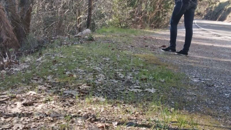 Sutter Creek Lions Park - Sutter Creek, CA