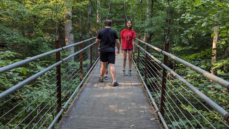 Rock Springs Park Dog Park - Suwanee, GA