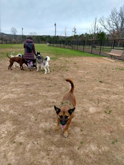 Rock Springs Park Dog Park - Suwanee, GA