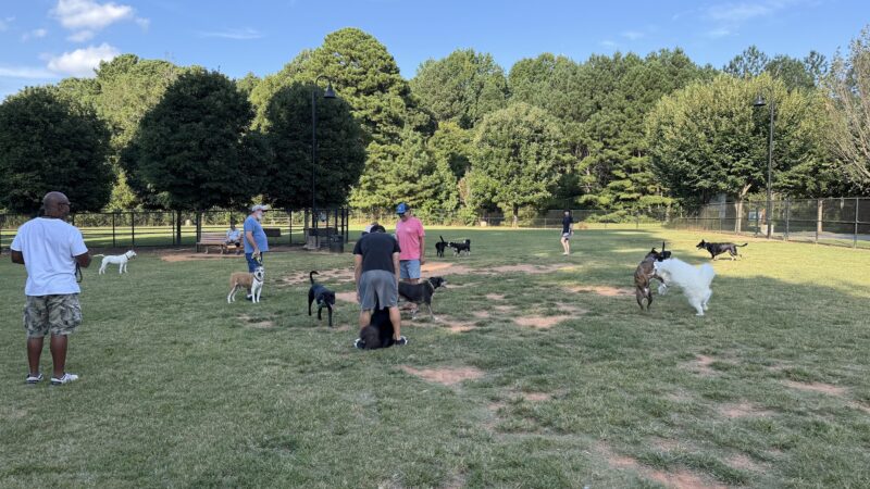 Rock Springs Park Dog Park - Suwanee, GA