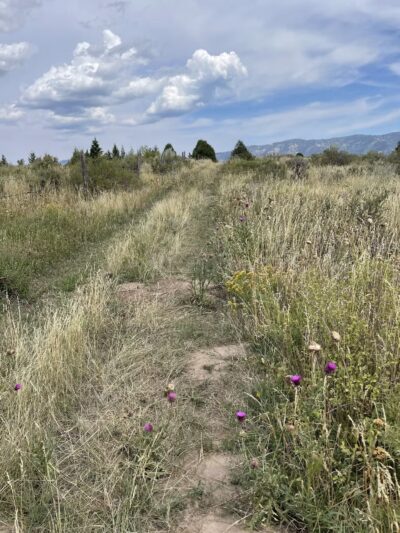 Falls campground - Swan Valley, ID