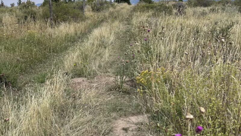 Falls campground - Swan Valley, ID