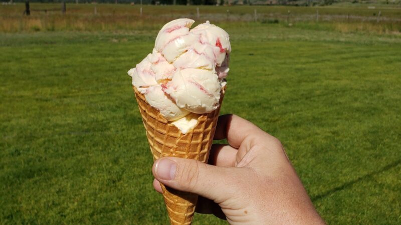 Sundaes Eats & Treats - Swan Valley, ID