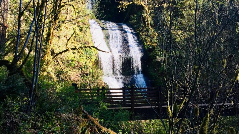 Ashbrook Park - Sweet Home, OR