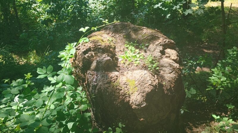 Northside Park - Sweet Home, OR