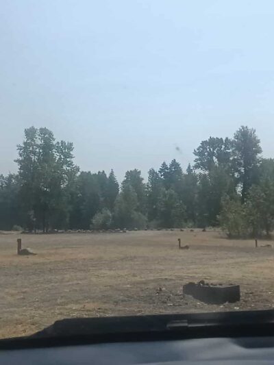 Quarry park - Sweet Home, OR