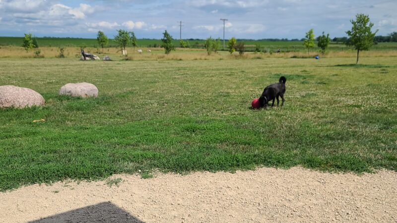 Sycamore Park District Brian Bemis Family Dog Park - Sycamore, IL