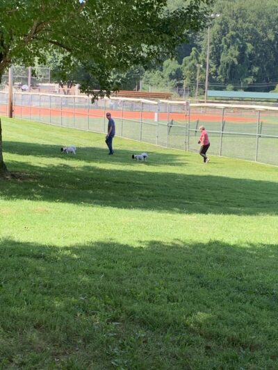 Sylva Dog Park - Sylva, NC