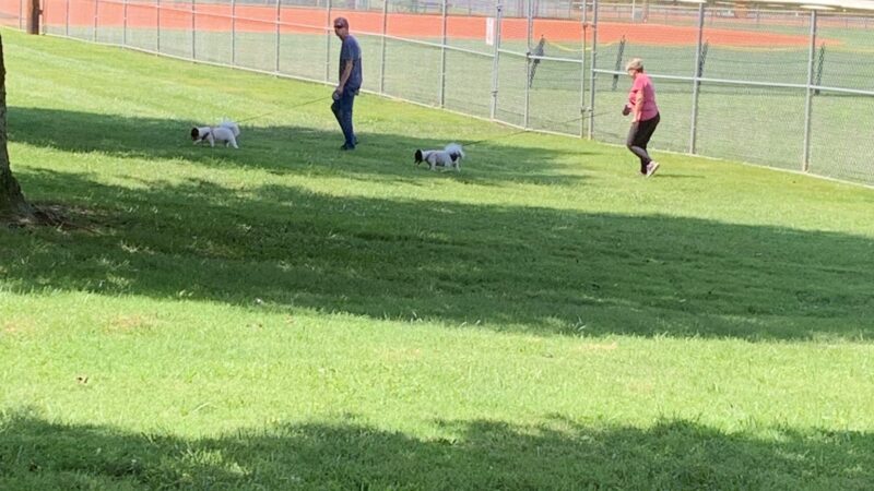 Sylva Dog Park - Sylva, NC